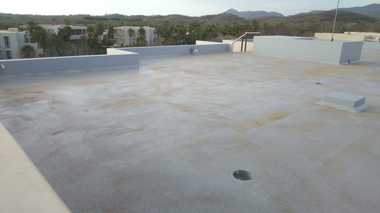 Susurros del Corazón - Imagen 3