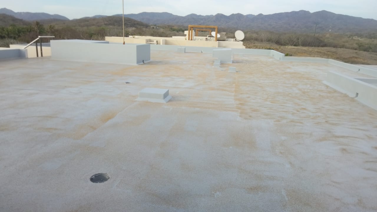 Susurros del Corazón - Imagen 4